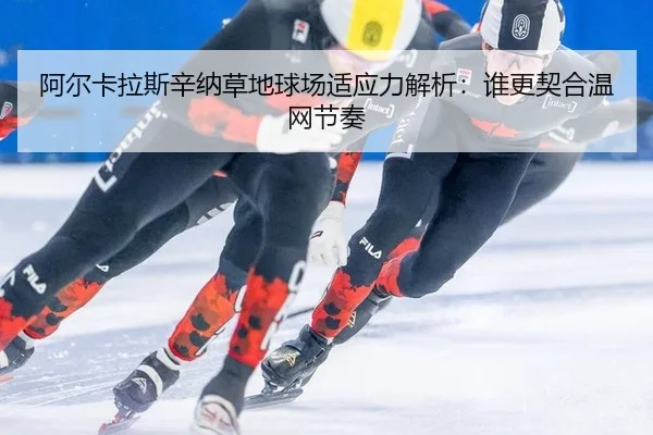 a-er-ka-la-si-xin-na-cao-di-qiu-chang-shi-ying-li-jie-xi-shui-geng-qi-he-wen-wang-jie-zou-2-436.jpg