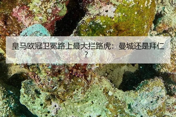 皇马欧冠卫冕路上最大拦路虎：曼城还是拜仁？